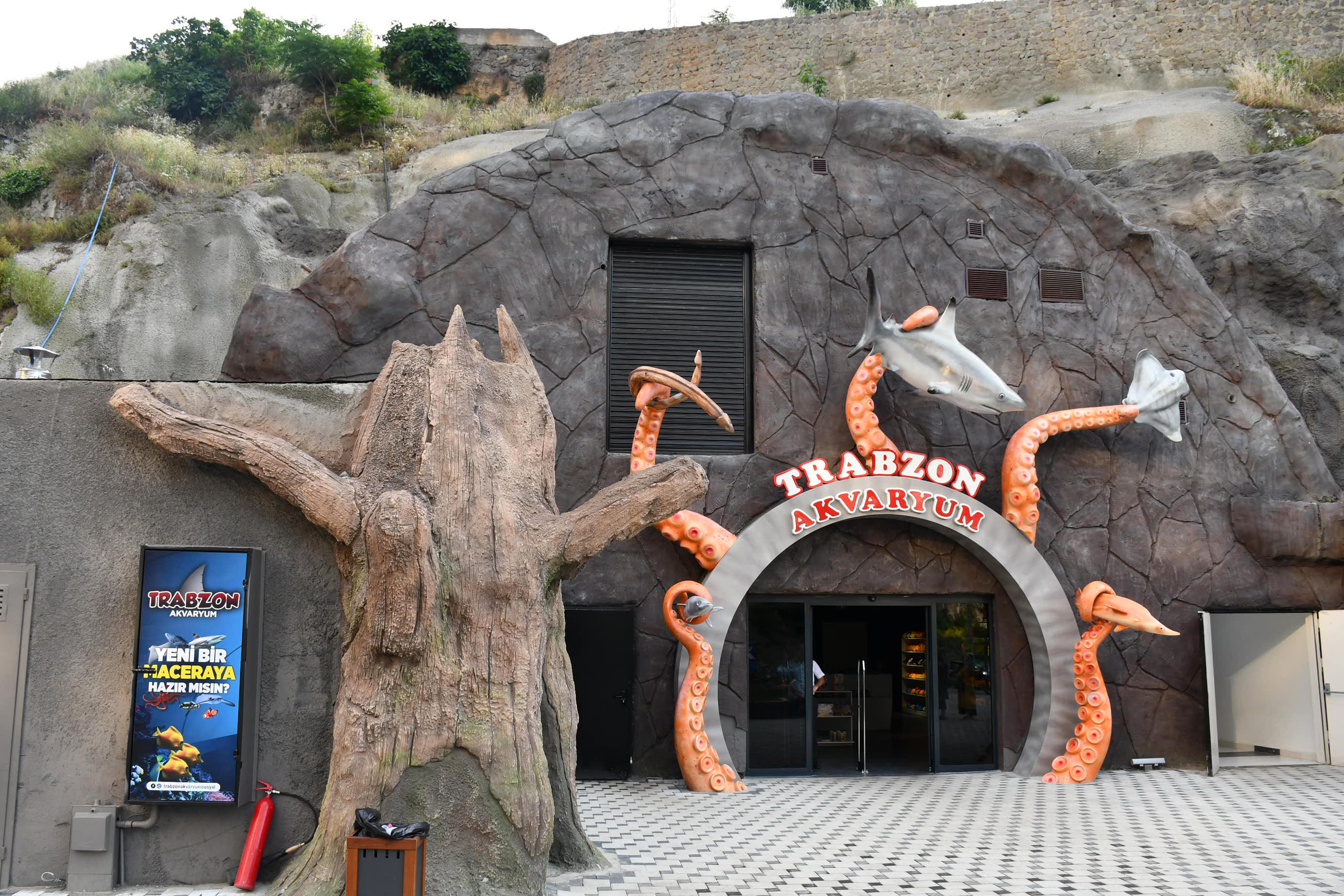 ​Dünyada tünel içerisinde inşa edilen ilk akvaryum Trabzon’da açıldı