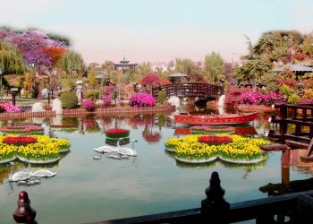 Konya’da Uluslararası Bir Turizm Cenneti: Japon Kyoto Parkı